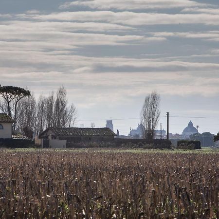 Podere Magnolia Pisa Exteriér fotografie