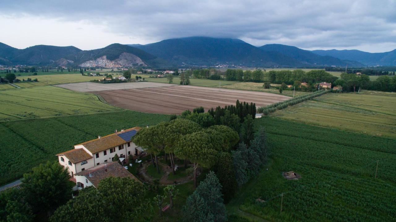 Podere Magnolia Pisa Exteriér fotografie